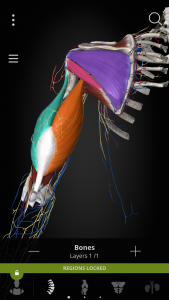 اسکرین شات برنامه Anatomyka - 3D Anatomy Atlas 4