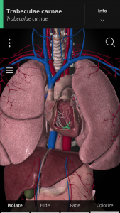 اسکرین شات برنامه Anatomyka - 3D Anatomy Atlas 6