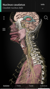 اسکرین شات برنامه Anatomyka - 3D Anatomy Atlas 1