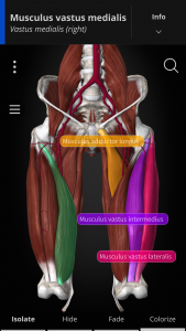 اسکرین شات برنامه Anatomyka - 3D Anatomy Atlas 2