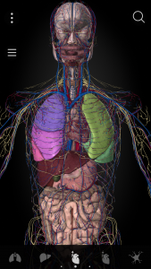 اسکرین شات برنامه Anatomyka - 3D Anatomy Atlas 3