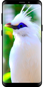اسکرین شات 1 برنامه 10000 Nature Wallpapers