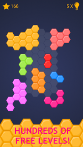 اسکرین شات بازی Hexa Block Puzzle 2