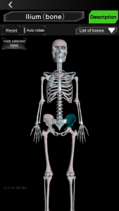 اسکرین شات برنامه Osseous System in 3D (Anatomy) 4