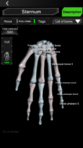 اسکرین شات برنامه Osseous System in 3D (Anatomy) 3