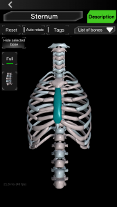 اسکرین شات برنامه Osseous System in 3D (Anatomy) 2