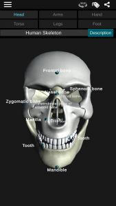 اسکرین شات برنامه Osseous System in 3D (Anatomy) 6