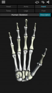 اسکرین شات برنامه Osseous System in 3D (Anatomy) 2