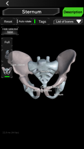 اسکرین شات برنامه Osseous System in 3D (Anatomy) 7