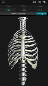 اسکرین شات برنامه Osseous System in 3D (Anatomy) 3