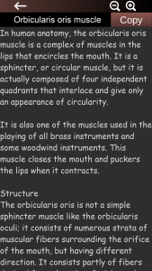 اسکرین شات 4 برنامه Muscular System 3D (anatomy)