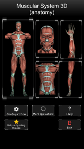 اسکرین شات 1 برنامه Muscular System 3D (anatomy)