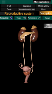 اسکرین شات برنامه Internal Organs in 3D Anatomy 8