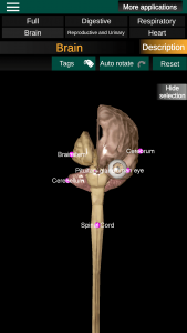 اسکرین شات برنامه Internal Organs in 3D Anatomy 6