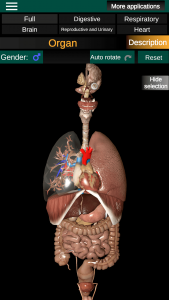اسکرین شات برنامه Internal Organs in 3D Anatomy 1