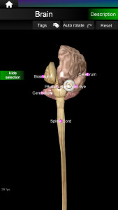 اسکرین شات برنامه Internal Organs in 3D Anatomy 5