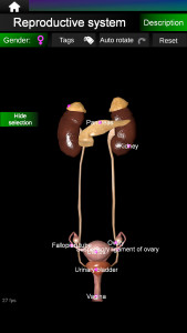 اسکرین شات برنامه Internal Organs in 3D Anatomy 7