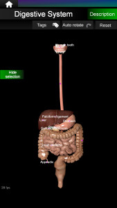 اسکرین شات برنامه Internal Organs in 3D Anatomy 3