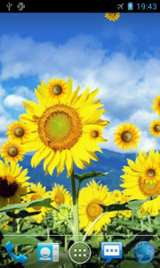 اسکرین شات برنامه Sunflower Live Wallpaper 2