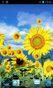 اسکرین شات برنامه Sunflower Live Wallpaper 1