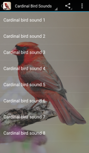 اسکرین شات برنامه Cardinal Bird Sounds 1