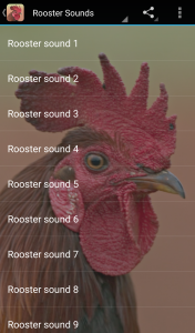 اسکرین شات برنامه Rooster Sounds 1