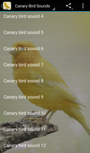 اسکرین شات برنامه Canary Bird Sounds 1
