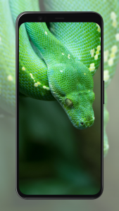 اسکرین شات برنامه Snake Wallpapers 5