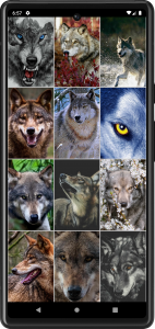اسکرین شات برنامه Wolf Wallpapers 2
