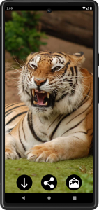 اسکرین شات برنامه Tiger Wallpapers | Cool tigers 3