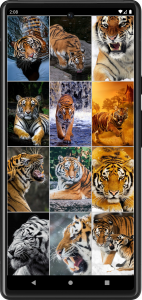 اسکرین شات برنامه Tiger Wallpapers | Cool tigers 4
