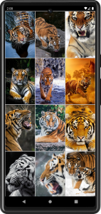 اسکرین شات برنامه Tiger Wallpapers | Cool tigers 5