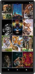 اسکرین شات برنامه Tiger Wallpapers | Cool tigers 2