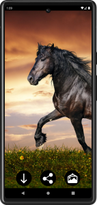 اسکرین شات برنامه Horse Wallpapers 1