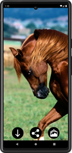 اسکرین شات برنامه Horse Wallpapers 3