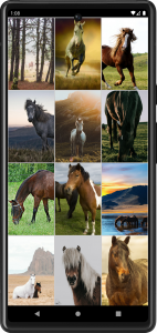 اسکرین شات برنامه Horse Wallpapers 5