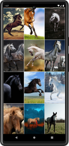 اسکرین شات برنامه Horse Wallpapers 4