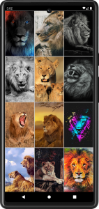 اسکرین شات برنامه Lion Wallpapers 3