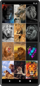 اسکرین شات برنامه Lion Wallpapers 2