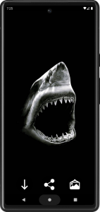 اسکرین شات برنامه Shark Wallpapers 1