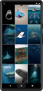 اسکرین شات برنامه Shark Wallpapers 3