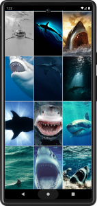 اسکرین شات برنامه Shark Wallpapers 4