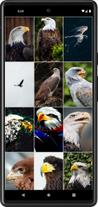 اسکرین شات برنامه Eagle Wallpapers 5