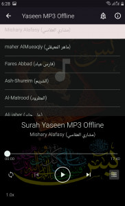 اسکرین شات برنامه Yaseen MP3 Offline 2