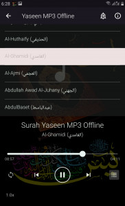اسکرین شات برنامه Yaseen MP3 Offline 4