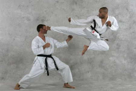 اسکرین شات برنامه Karate Guide 2