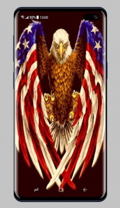 اسکرین شات برنامه American Flag Wallpaper 4