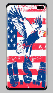 اسکرین شات برنامه American Flag Wallpaper 2