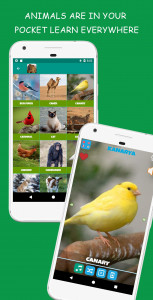 اسکرین شات 1 بازی Animal Sounds