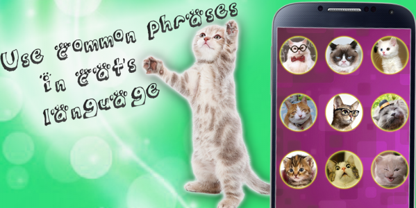 اسکرین شات 4 برنامه Translator for cats joke!